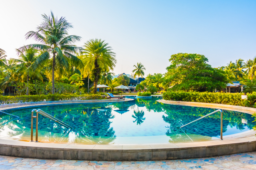 Luxury swimming pool surrounded by lush palm trees and greenery, showcasing a serene outdoor oasis ideal for backyard transformations by Tango Pools.